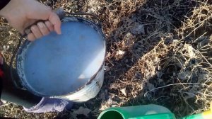 ЧЁРНАЯ СМОРОДИНА: ВЕСЕННЯЯ ОБРАБОТКА ОТ ПАУТИННОГО КЛЕЩА.