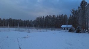 КАМЕННОГОРСК | ЭКСКУРСИЯ ПО ЗАТЕРЯННОМУ В ЛЕНОБЛАСТИ ГОРОДУ