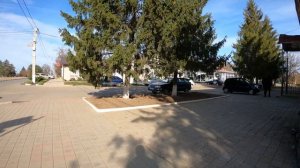 Новоминская | Центр