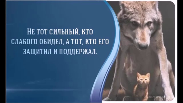 Волчья доля смотреть онлайн