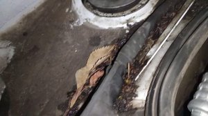 Фольксваген Т-6 слабое место,где начинает ржаветь