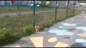 Подвижные игры на улице!?♀️?♀️