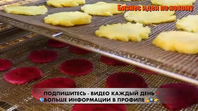 Бизнес Идея 2023. Сушильная камера для овощей и фруктов. Бизнес 2023. Бизнес с нуля. Бизнес идеи