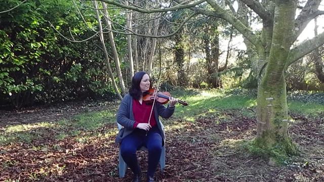 Irish Fiddle Music: Reels in the Garden - The Green Mountain & The Fox on the Town