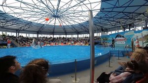 Сочи Парк Дельфинарий часть 3 Сочи Адлер Сириус Имеретинский Курорт 2022