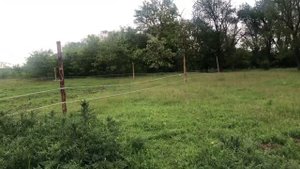 Электропастух, электроизгородь