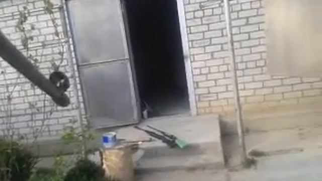 обзор пневматических винтовок ИЖ смотреть онлайн