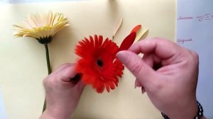 ГЕРБЕРА РАЗБОР