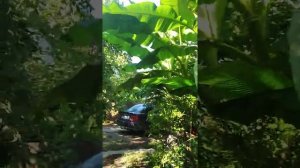 Глубокая щель, дом 5