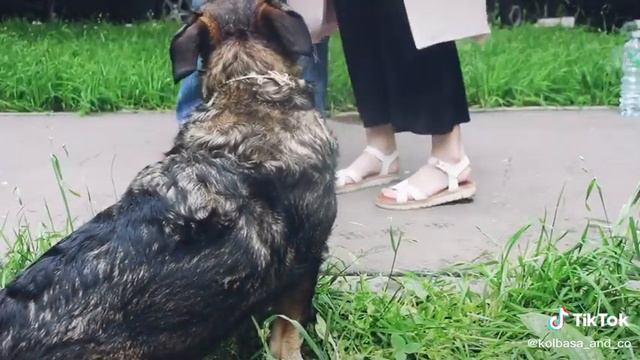 12 июля 2020 г. смотреть онлайн