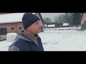 Кормление и содержание баранов зимой в морозы #дорпер #dorper #dorpersheep #овцеводство #breeding