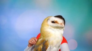 vlad crazy show ВЛАД КРЕЙЗИ ШОУ новый выпуск