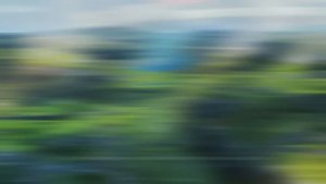 Главный секрет Дотторе? [Геншин теории]