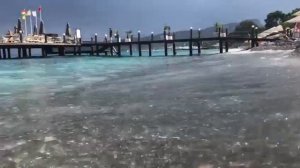 Касатки в средиземном море