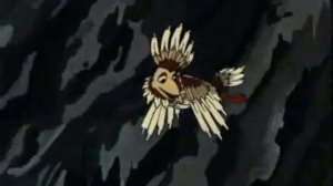 Птица-говорун, отличается умом и сообразительностью.