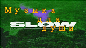 ? Душевная House Музыка ?  
?Diviners X Riell - Slow?