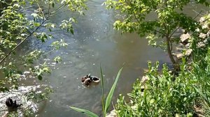 О судоходности реки Кальмиус ;)