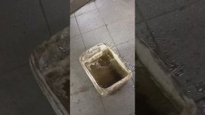 Шкода "ФАБИЯ" в багажнике под запаской стоит вода.