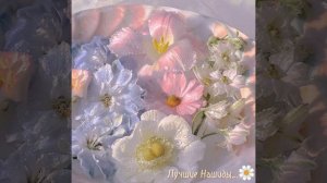 Красивый НАШИД...??