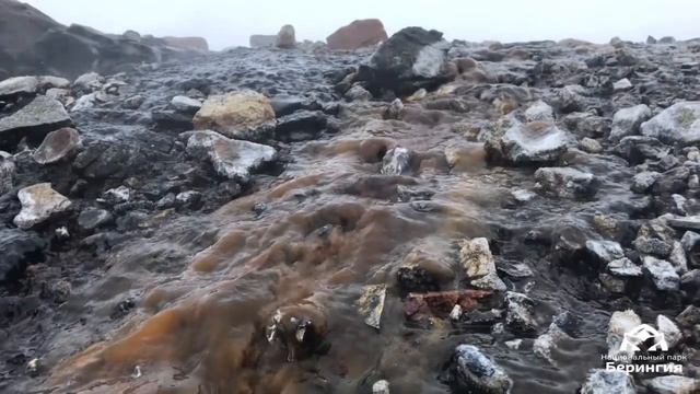 Сенявинские горячие источники