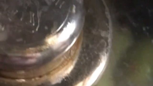 Перцы фаршированные и разные блюда