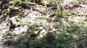 Глауконит месторождение