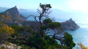 Ка Па Дзонг Хрустальные мосты режиссер видео Игорь Широков