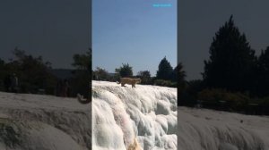 Источники Памуккале́ ТУРЦИЯ ?? Pamukkale, « хлопковый замок »