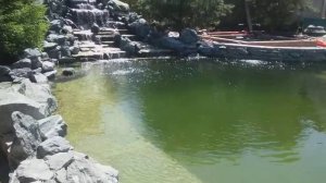 Искусственный водопад и пруд для купания