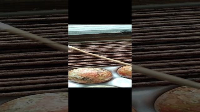 Эксперимент по окрашиванию трубочек.