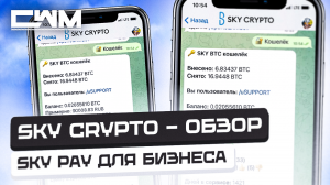 SKY CRYPTO - ОБЗОР, SKY-PAY для бизнеса.
