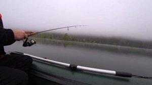 Бешеный клев окуня на микроджиг, спиннинг St. Croix Avid IPC AVS60ULF2 гнут в дугу!!!