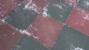 Осмотр поселка Беляная Гора