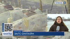 Как оформить свидетельство о рождении ребенка через «Госуслуги»