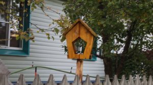 Кормушка для птиц №2