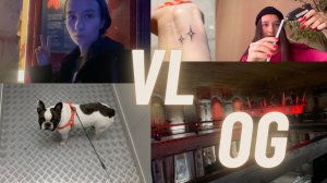 плету лапти из говна и палок