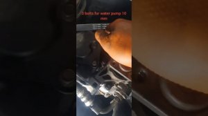 Peugeot boxer 2015 2.2 hdi water pump replacement