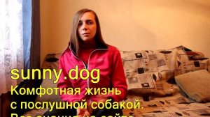 пес тянет к другим собакам что делать