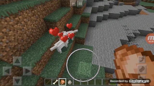 Как сделать  из двух сабак больше стадо сабак в майнкрафт смотреть онлайн