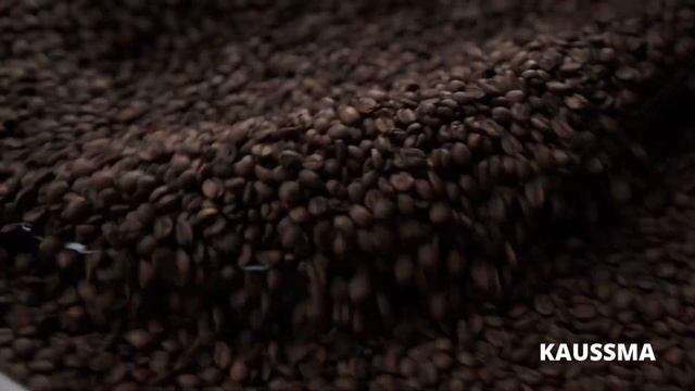 Процесс обжарки зернового кофе Kaussma смотреть онлайн