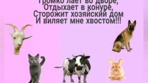 ЗАГАДКИ ДЛЯ ДЕТЕЙ 2-3 ГОДА. ЗАГАДКИ ПРО ДОМАШНИХ ЖИВОТНЫХ.