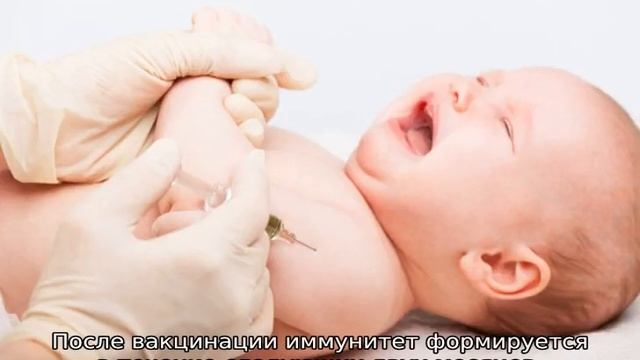 Какие делают прививки в роддоме новорожденным смотреть онлайн