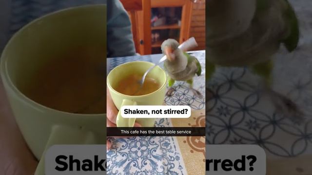 1000002541.mp4 смотреть онлайн