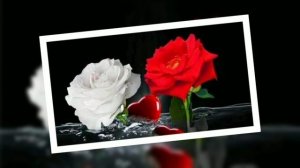 Две розы. Олег Погудин.