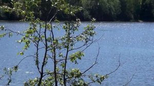 Тишково, Пестовское водохранилище и река Вязь. Часть 1 (8.06.2022)