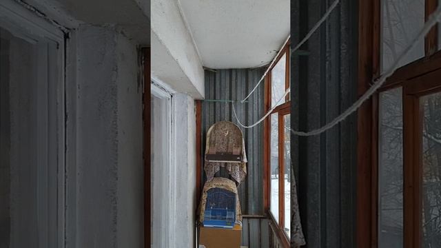 ПЕНИЕ ЩЕГЛА МОСКВА! смотреть онлайн