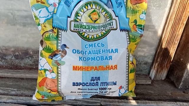 //Хотите яйцо//Яблочный уксус, мед... // смотреть онлайн