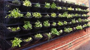 Умные грядки, ленивые грядки, красивый огород