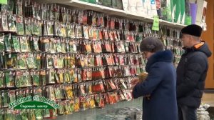 Препараты от проволочника