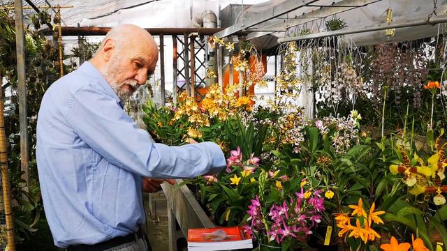 il decameone delle orchidee n° 31: La serra dlle orchidee video 5 di 6 riscaldamento e ventilazione смотреть онлайн
